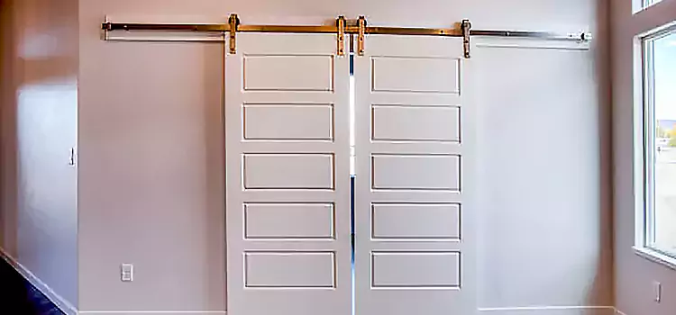 Glass Barn Door with Installation Hardware Kit Evanston