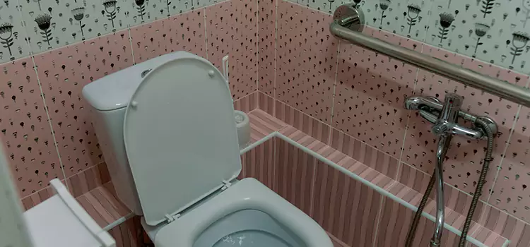 Meeting Diverse Needs With Accessible Restroom Solutions in Evanston, IL